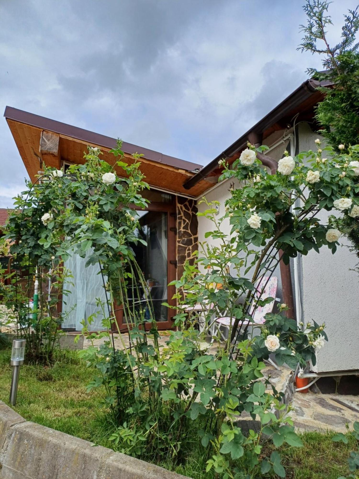 Cazare La Luiza B Sura Mare Exterior foto